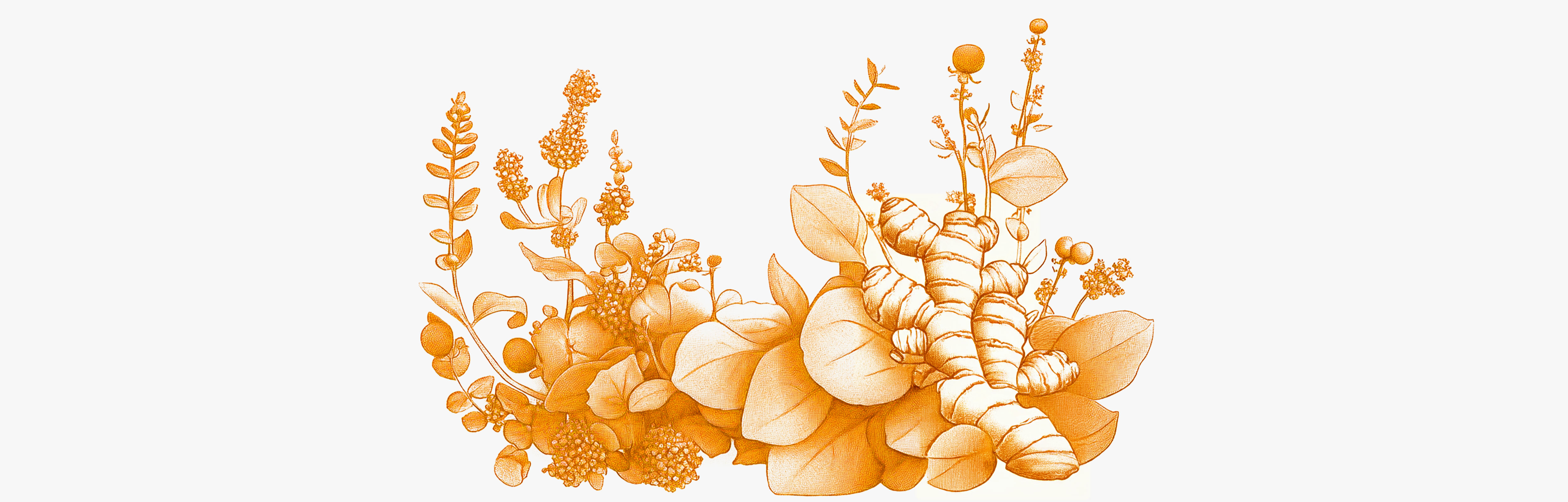 The 5 best natural ‘antibiotics’