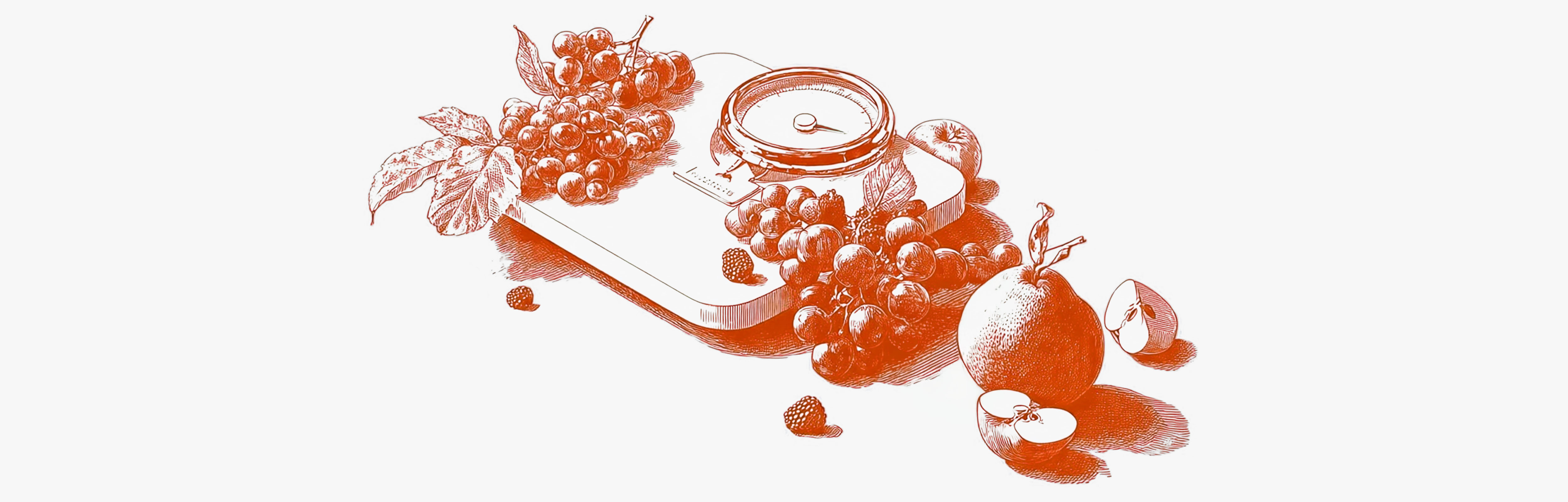 Chromium and weight loss