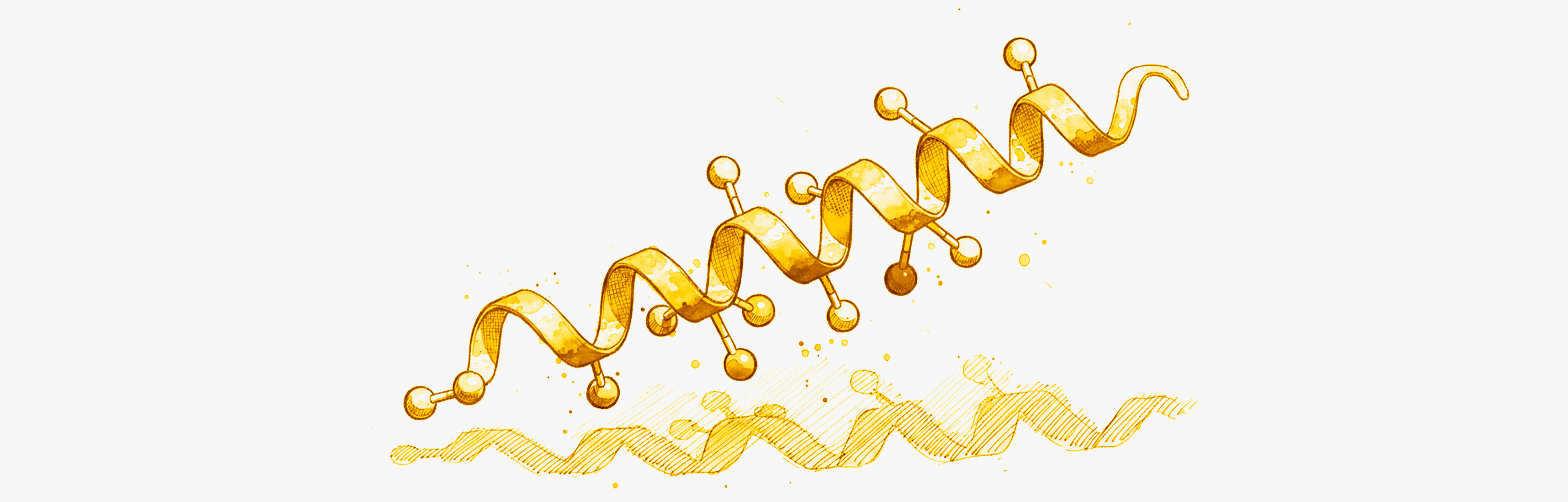 GLP-1 could help combat fatty liver