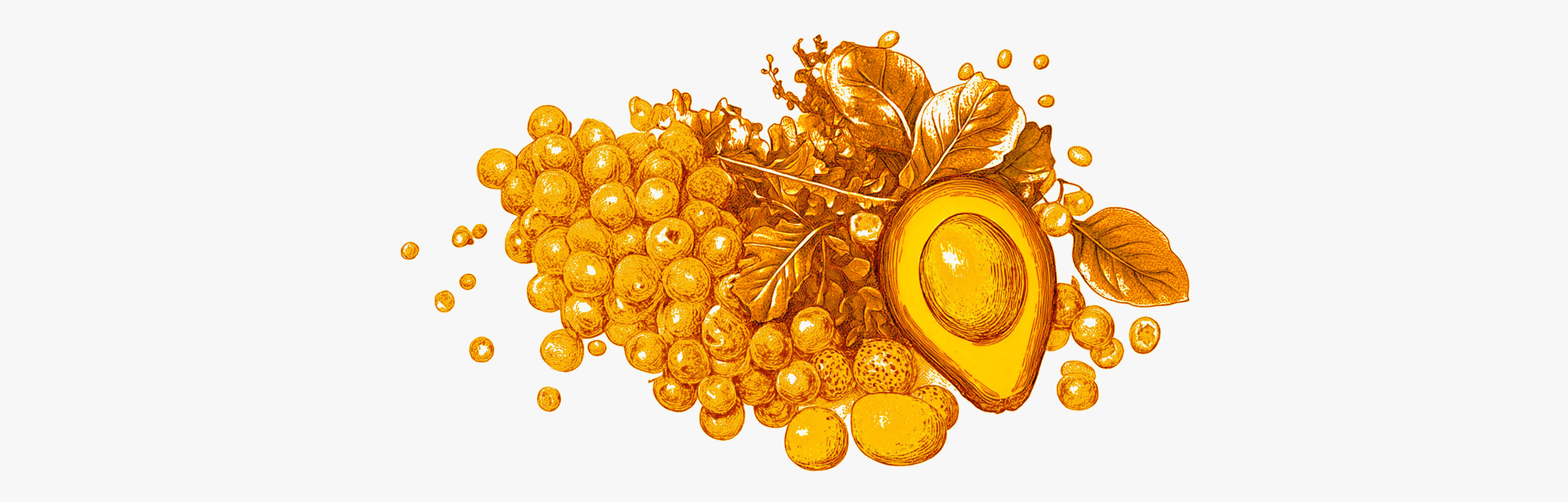 Benefits of micronutrition