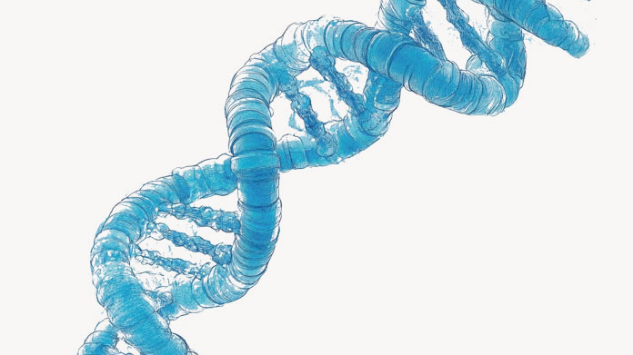 Nutrigenomics & diet